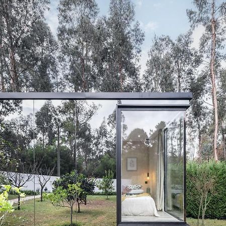 Villa No Jardim Dos Aromas Gião Εξωτερικό φωτογραφία