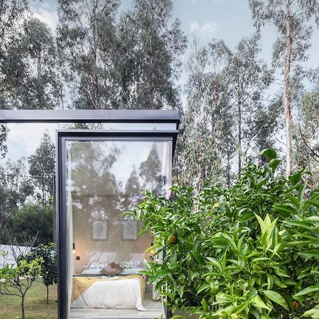Villa No Jardim Dos Aromas Gião Εξωτερικό φωτογραφία